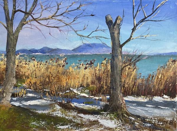 Téli Balaton (30x40 cm)<br/>Olaj, vászon<br/><br/><button onclick='sendEmail()' style='background-color: #333; color: white; border: none; padding: 10px 20px; text-align: center; text-decoration: none; display: inline-block; font-size: 16px; margin: 4px 2px; cursor: pointer;'>Kapcsolatfelvétel</button>
